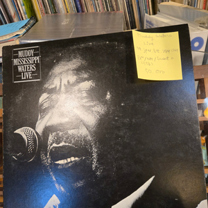 Muddy Waters.live.79.jpn.초반.민트