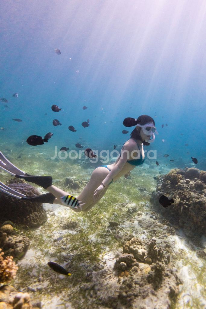 프리다이빙 체험권--8