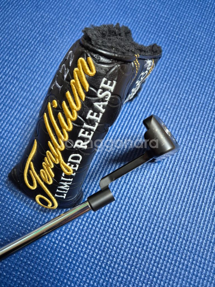 스카티카메론 테릴리움 T22 뉴포트--3