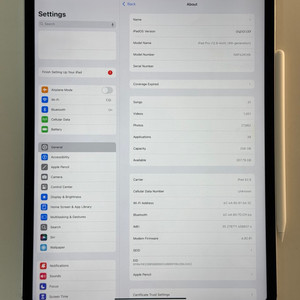 아이패드 프로 12.9 4세대 256G 셀룰러