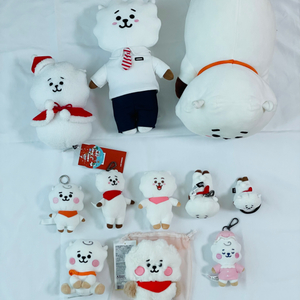 BT21 방탄소년단 RJ 인형 일괄