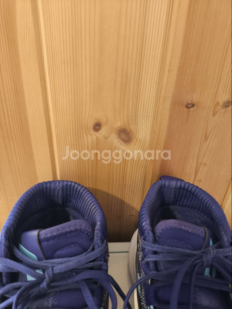 275mm 아디다스 데임5 농구화--3