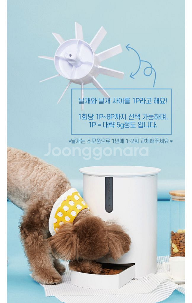 [페토이] 반려동물 자동급식기 2.8L HT-P006X--4