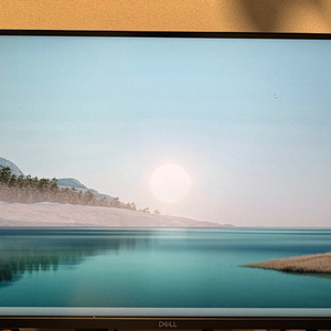 Dell QHD 165hz 모니터