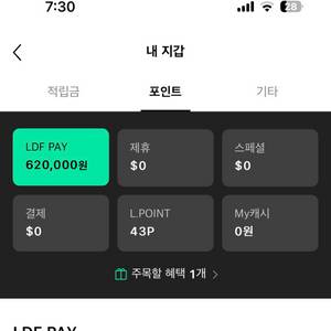 롯데면세점 LDF PAY