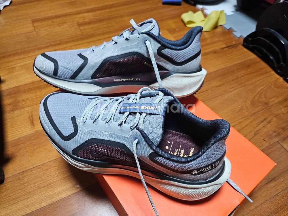 페가수스41 gtx 고어텍스 280--1