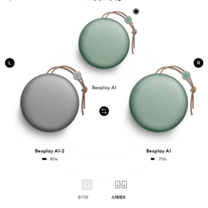 뱅앤올룹슨 A1 1세대 그린