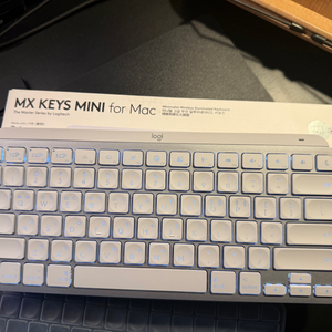 로지텍 MX KEYS MINI FOR MAC 판매합니다