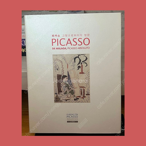 파블로 피카소 PABLO PICASSO 미술관 도록