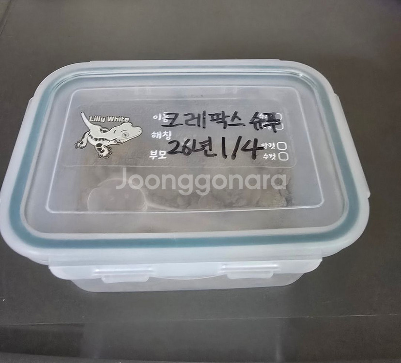 두렙/jif 사육장세트 및 용품 저렴하게 판매합니다.--5