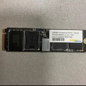 파이슨 256GB SSD