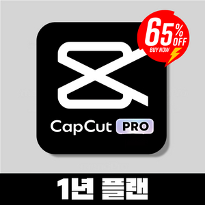 70%특가 할인>캡컷 PRO / 노션 PLUS 1년