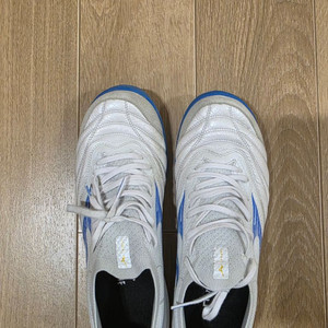 미즈노 모렐리아 살라베타 재팬 265
