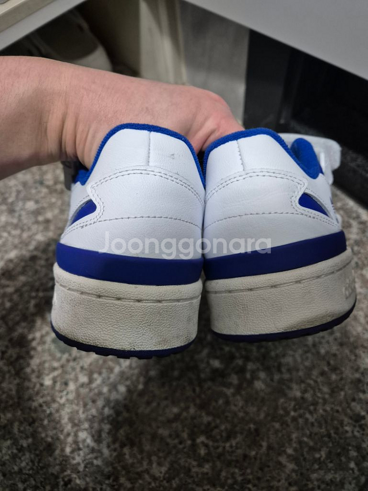 아디다스 포럼 로우 265 블루--1