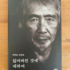 잃어버린 것에 대하여 : 최백호 산문집