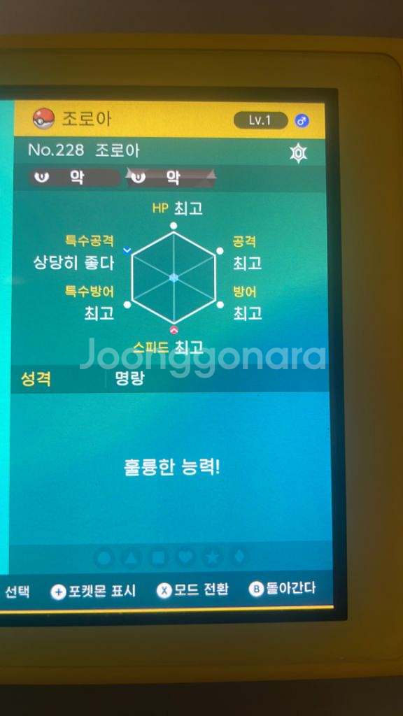 스칼렛 바이올렛 조로아 5v 두마리 팝니다--2