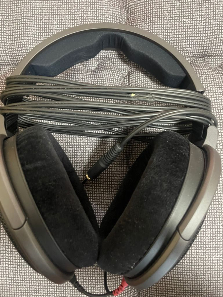 젠하이저HD600 이미지