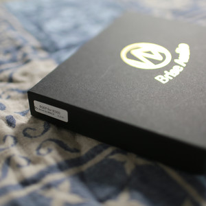 BriseAudio BSEP for IE900 브리즈