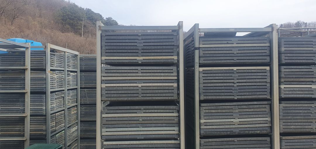 벼모판(신형)모판,모종,모내기 이미지