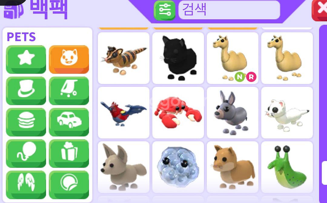 입양하세요 펫--6