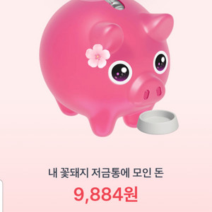 꽃돼지저금통 제발 해주세요ㅠㅠ 제가 돈 바로 보내들게요