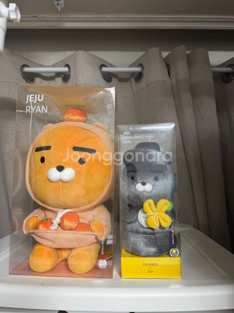 제주 한정 카카오 라이언 인형 3종--2