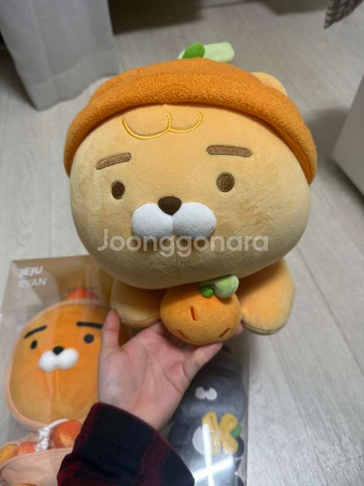 제주 한정 카카오 라이언 인형 3종--3