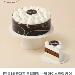 하겐다즈 프리미엄 수제 아이스크림 케이크 리얼블랑 (바