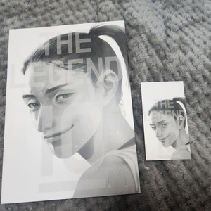 김연경 배구선수 비공식 만화책 통판 회지 판매