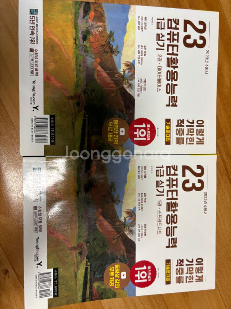 이기적 컴퓨터활용능력 1급 실기 2023년 수험서--0