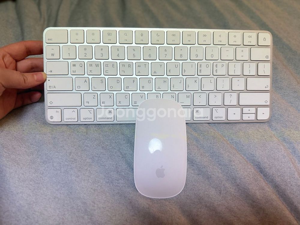 Apple 정품 매직 키보드 & Magic Mous--1