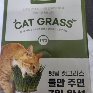 고양이 캣그라스