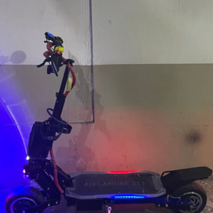 전동킥보드 기함급