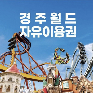 캐리비안 베이 종일권경주월드 종일권