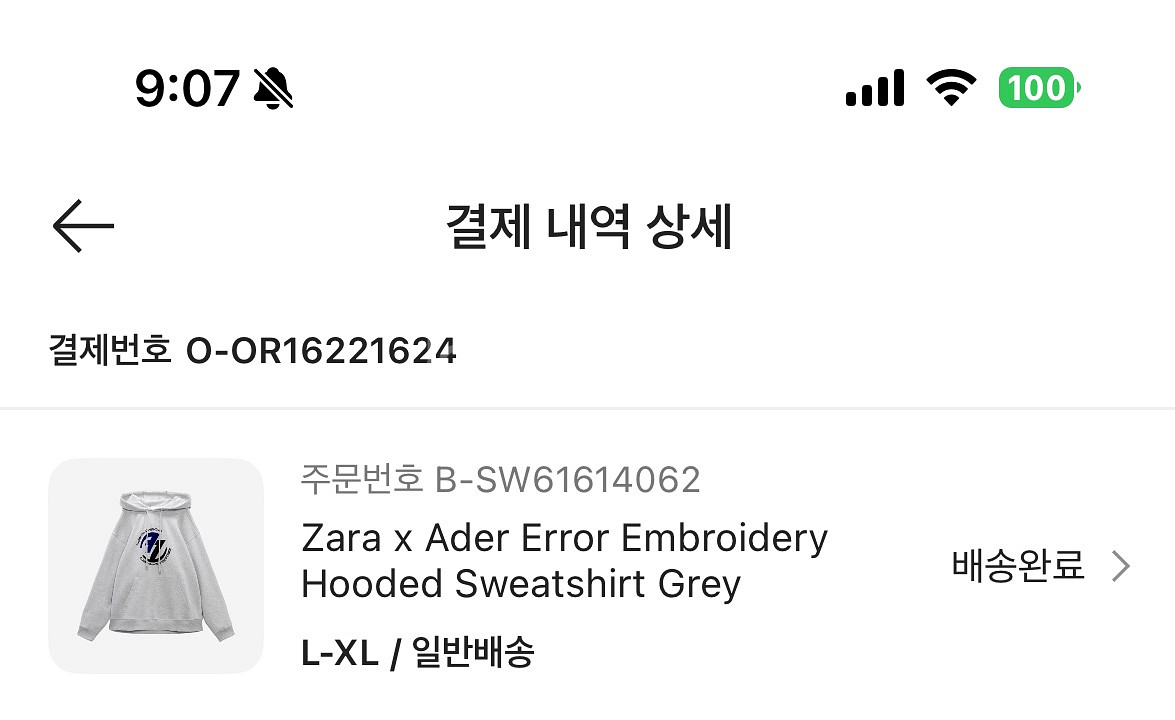자라 아더에러 후드티--2