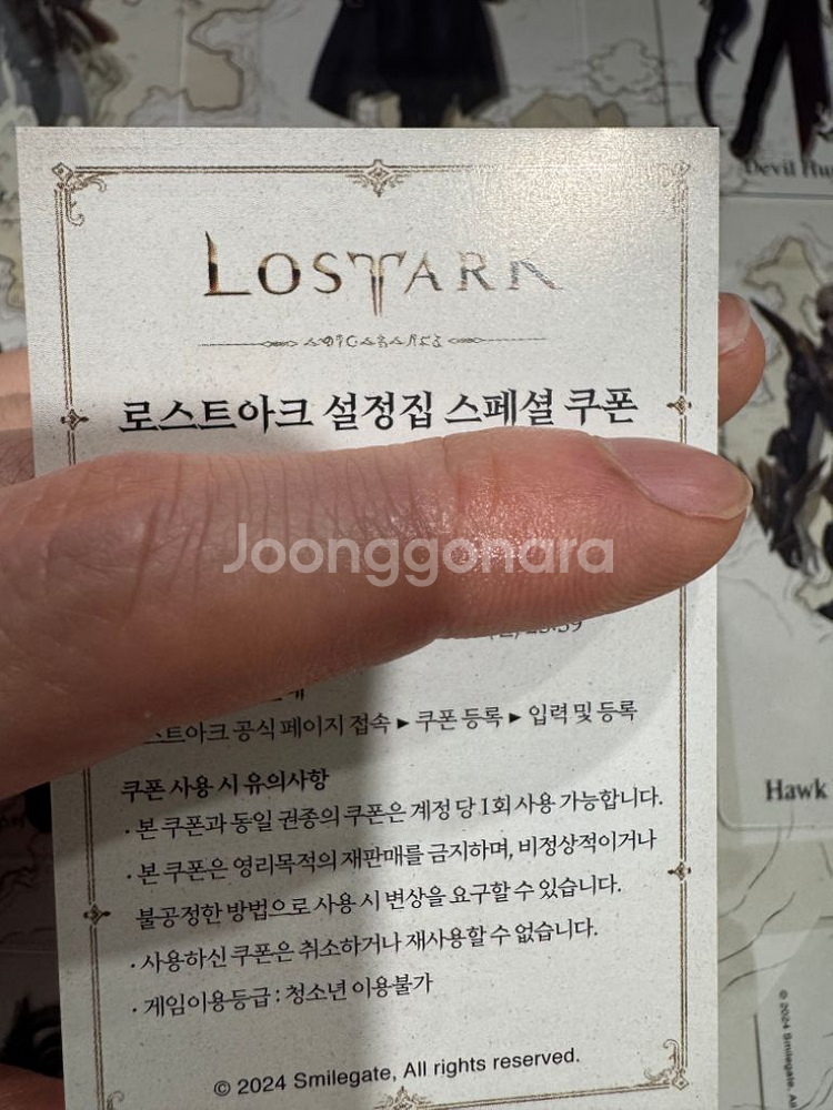 로스트아크 설정집 쿠폰 팔아요--0
