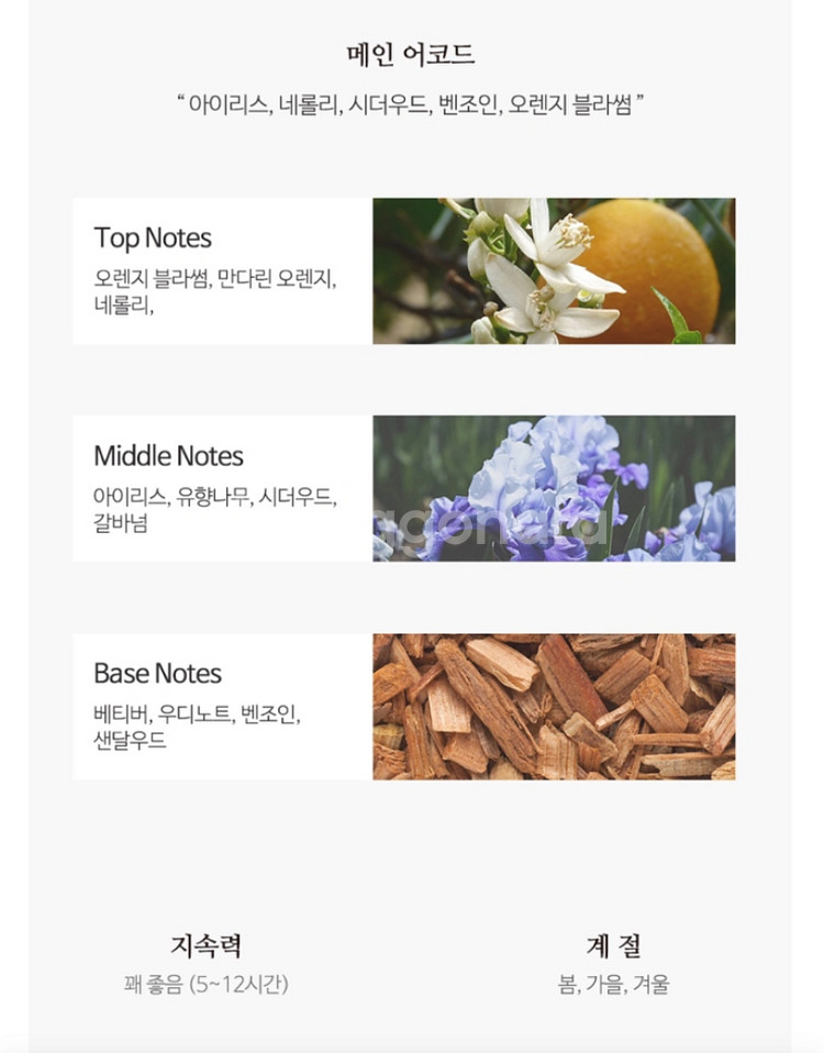 프라다 레스 인퓨전 디 아이리스 오 드 퍼퓸 100ml--2