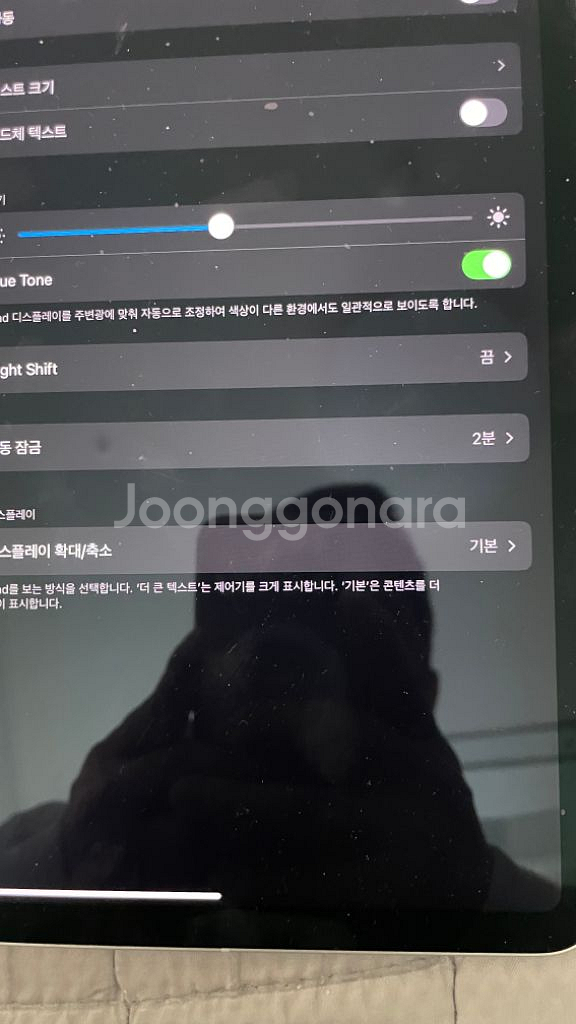아이패드 프로12.9 셀룰러 512gb 4세대--6