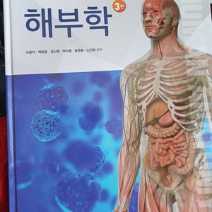 해부학