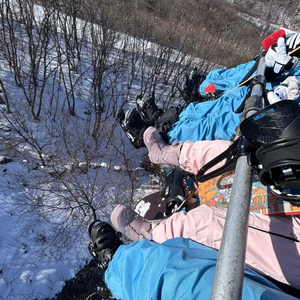 용평 스프링 시즌권 구매 4장 구매 중입니다.장당12만