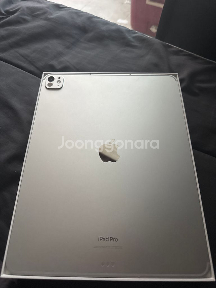 아이패드 프로 13인치 M4 256GB 실버 셀룰러--2