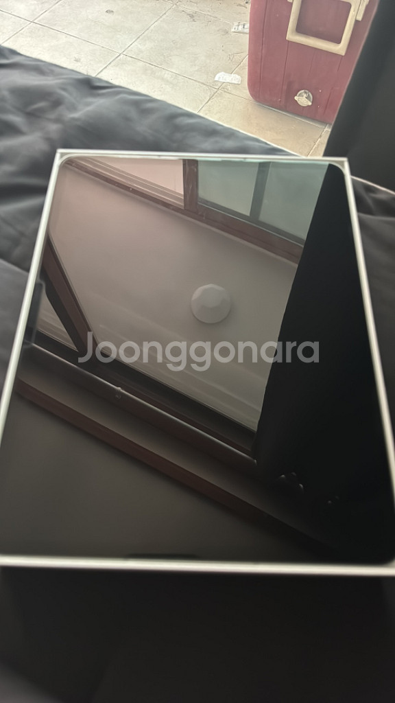 아이패드 프로 13인치 M4 256GB 실버 셀룰러--4