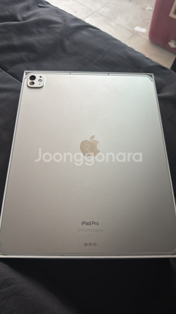아이패드 프로 13인치 M4 256GB 실버 셀룰러--8