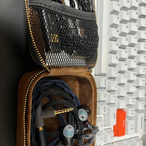AKG N5005 + 드래곤스케일 커스텀 케이블