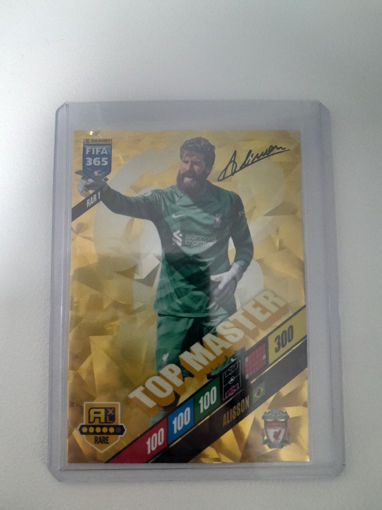 Lucas Coly Vine Painting, image size:768x1024