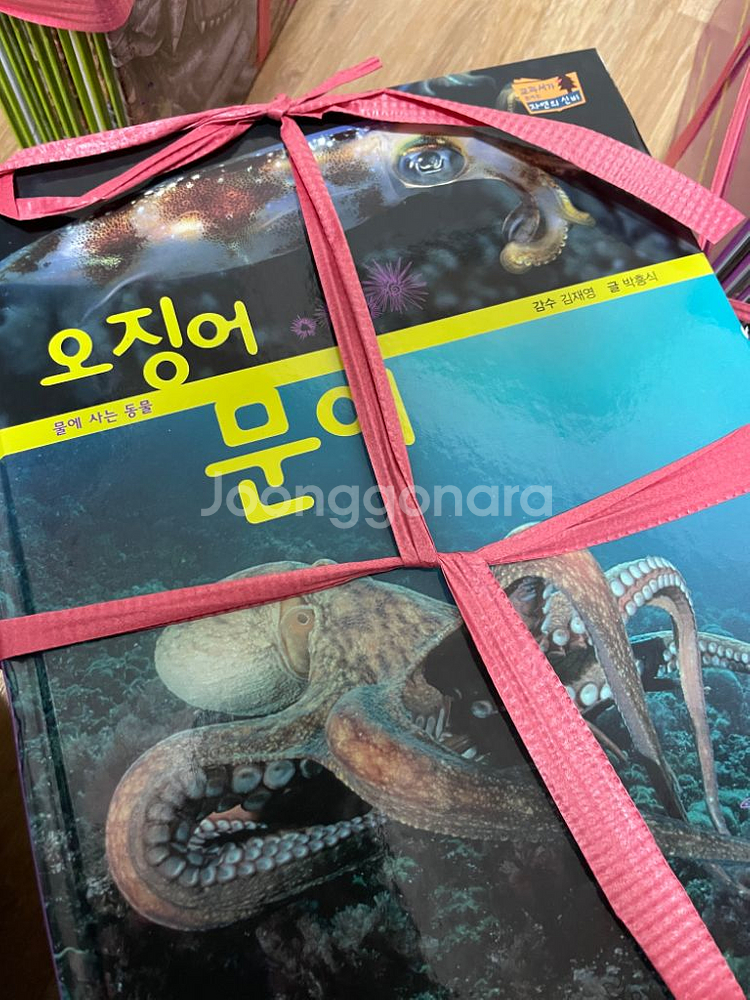 교과서가 보이는 자연의 신비 69권 일괄--2