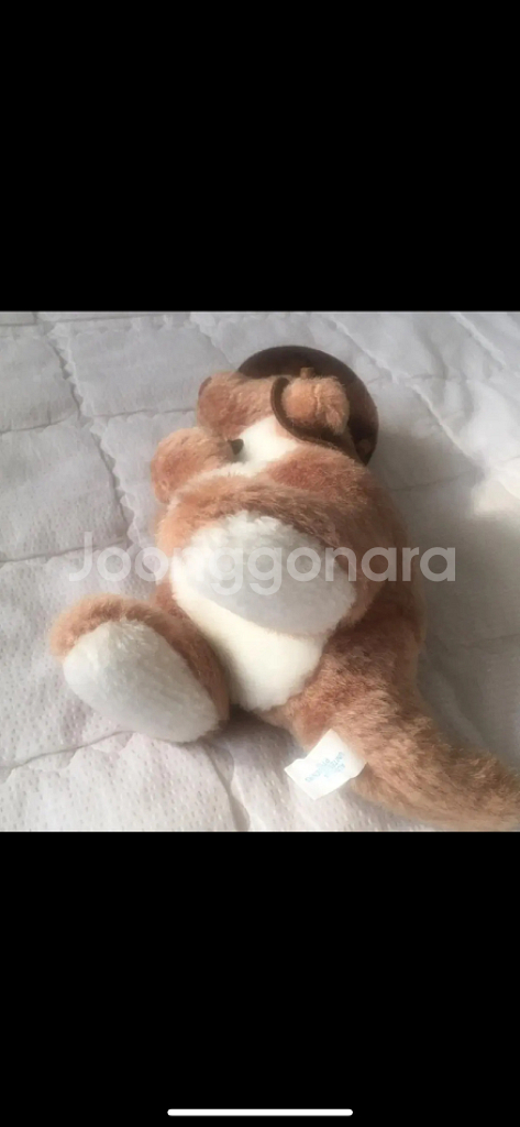 빈티지 인형 모자 동물 인형--1