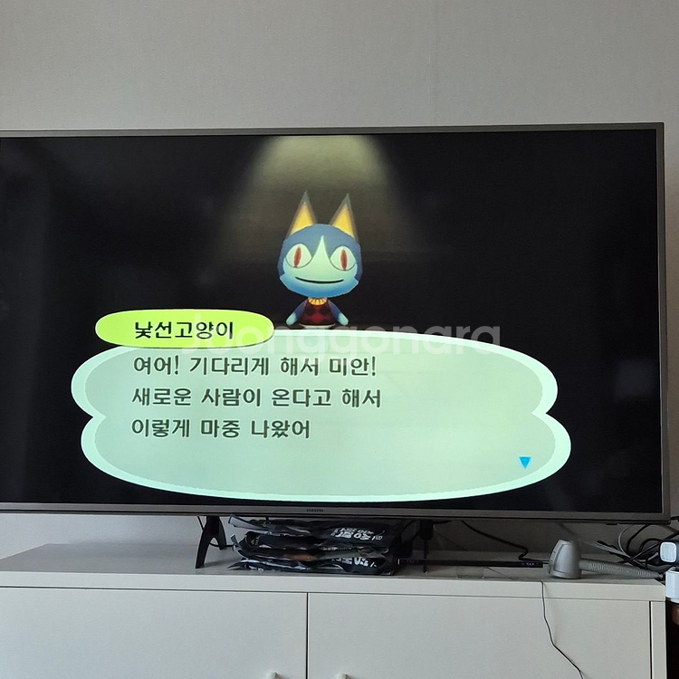 닌텐도wii 타운으로 놀러가요 동물의 숲--1
