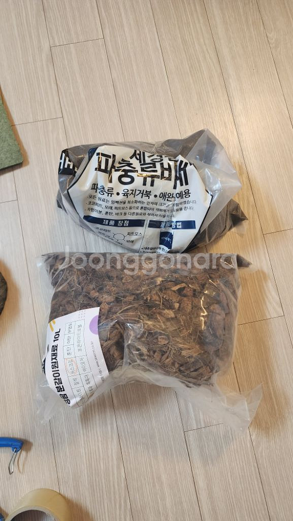 육지거북 사육장--2