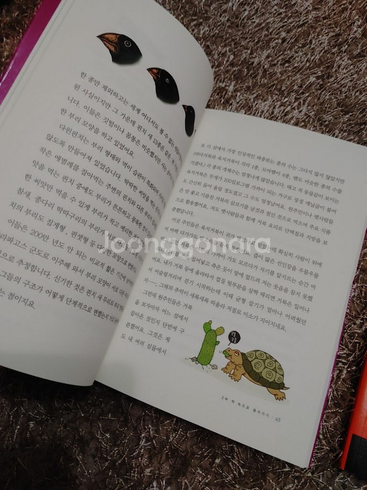 주니어 필독선 다윈의 종의 기원 아퀴나스의 신학대전--2